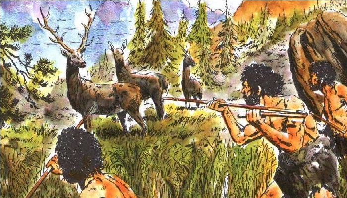 Agricultura prehistórica