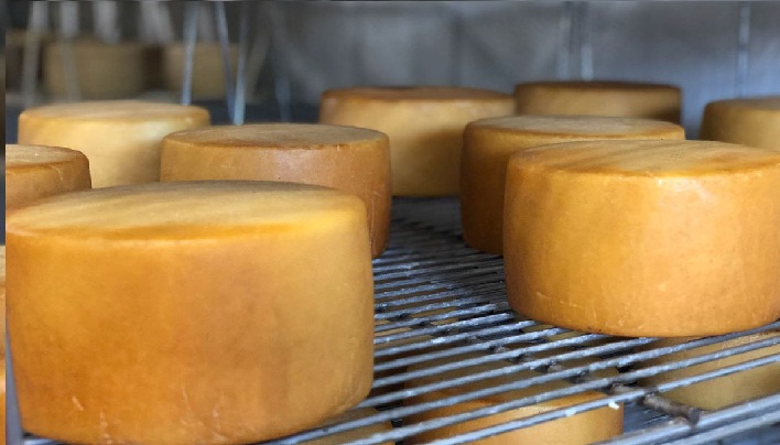 Cuántos tipos de queso hay en el mundo