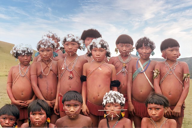 pueblos indígenas del Amazonas